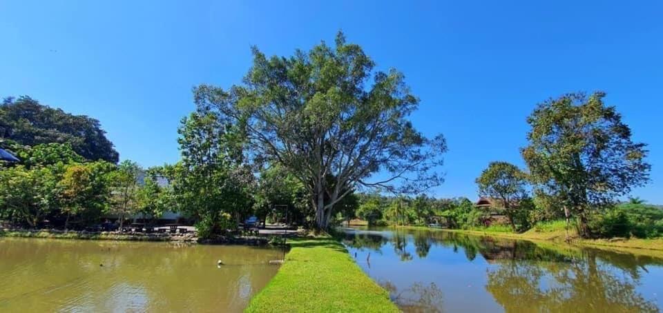 Homdoiintr Farmstay ฮ่อมดอยอินทร์ ฟาร์มสเตย์ Banhuajkeo Kültér fotó