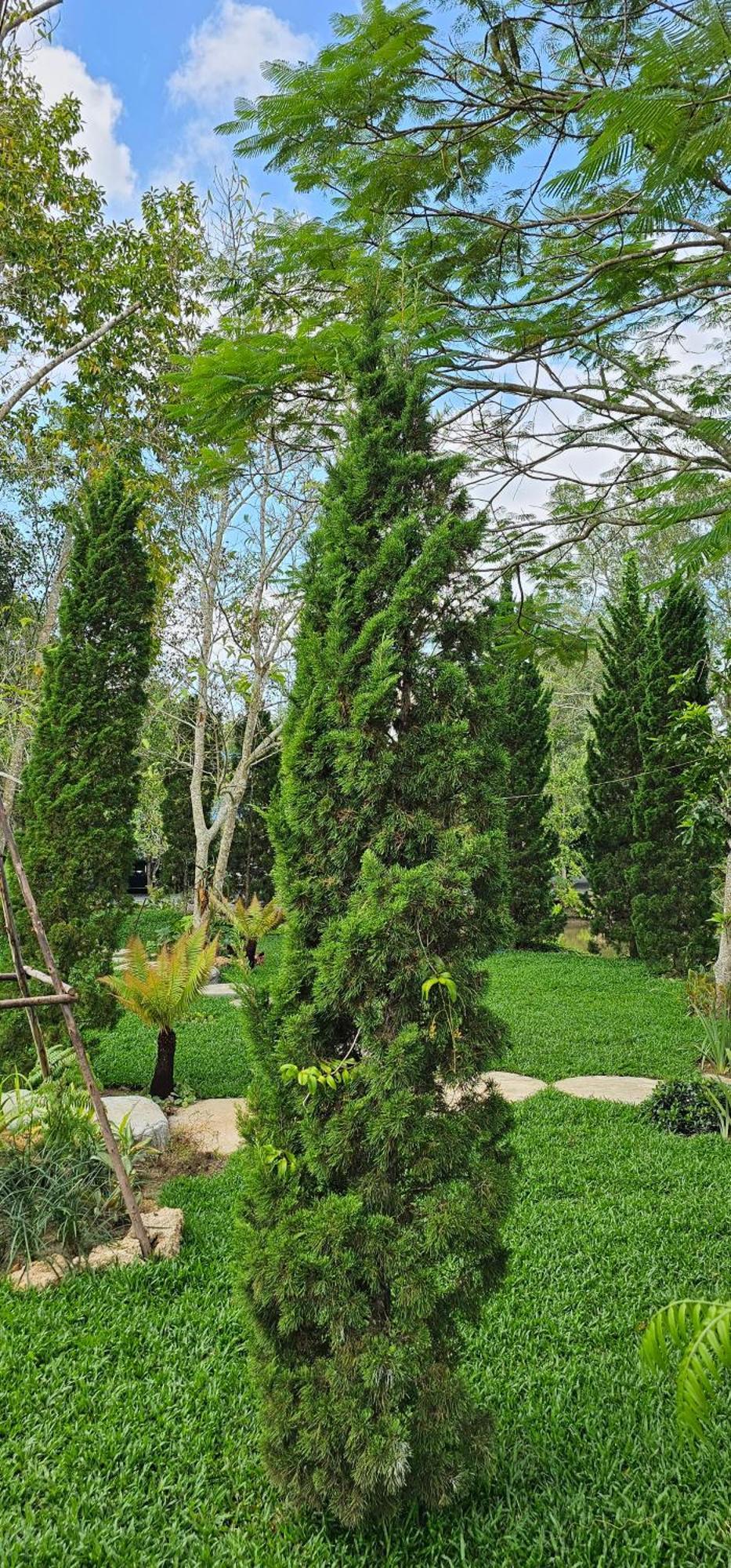 Homdoiintr Farmstay ฮ่อมดอยอินทร์ ฟาร์มสเตย์ Banhuajkeo Kültér fotó