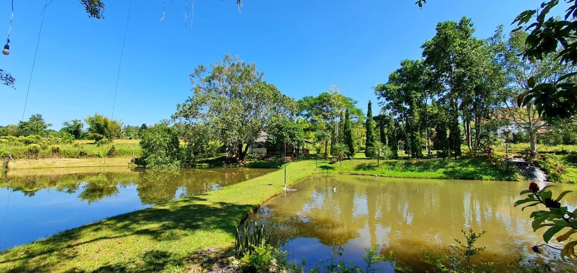 Homdoiintr Farmstay ฮ่อมดอยอินทร์ ฟาร์มสเตย์ Banhuajkeo Kültér fotó